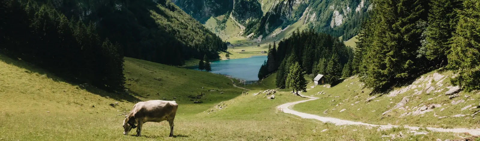 Randonnées en Suisse