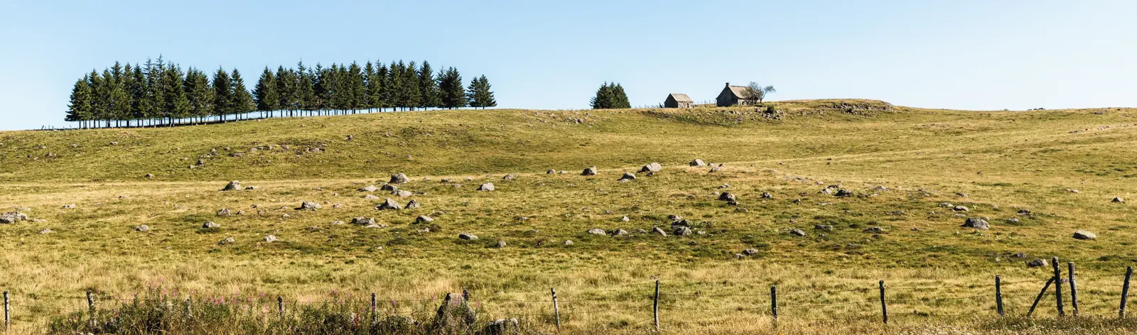 Randonnées en Aubrac