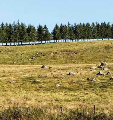 Randonnées en Aubrac