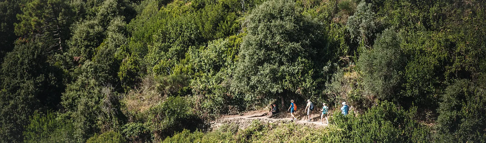T. Vattard Randonnées en voyages accompagnée