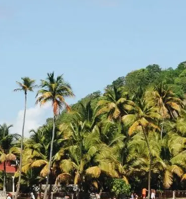 Randonnées en Guadeloupe