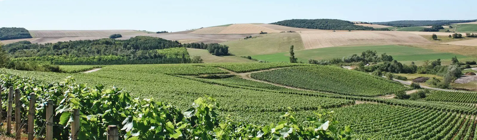 Randonnées en Bourgogne et en Champagne