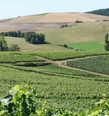 Randonnées en Bourgogne et en Champagne