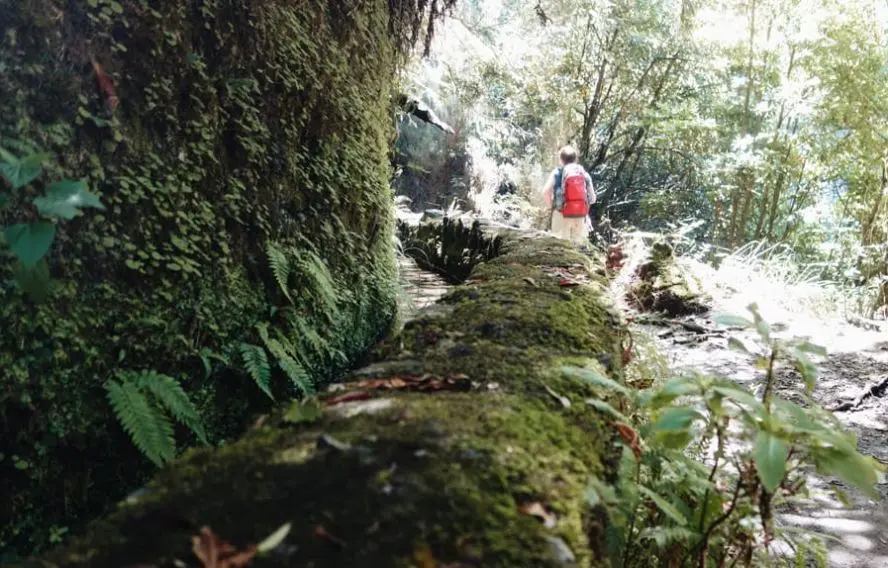 C. Lechevillier Levada