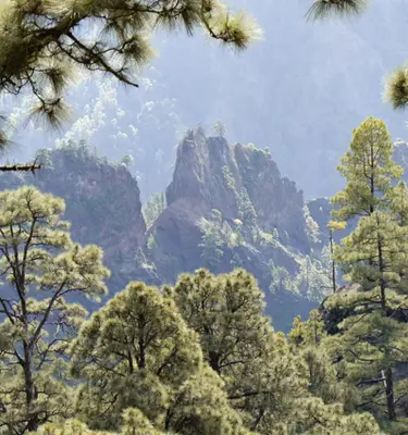 caldera-taburiente