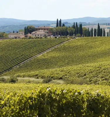 sienne-viterbo