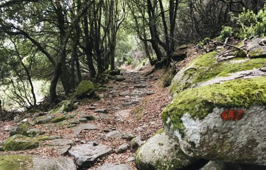 P. Gregor Chemin muletier, de Mare a Mare, corse
