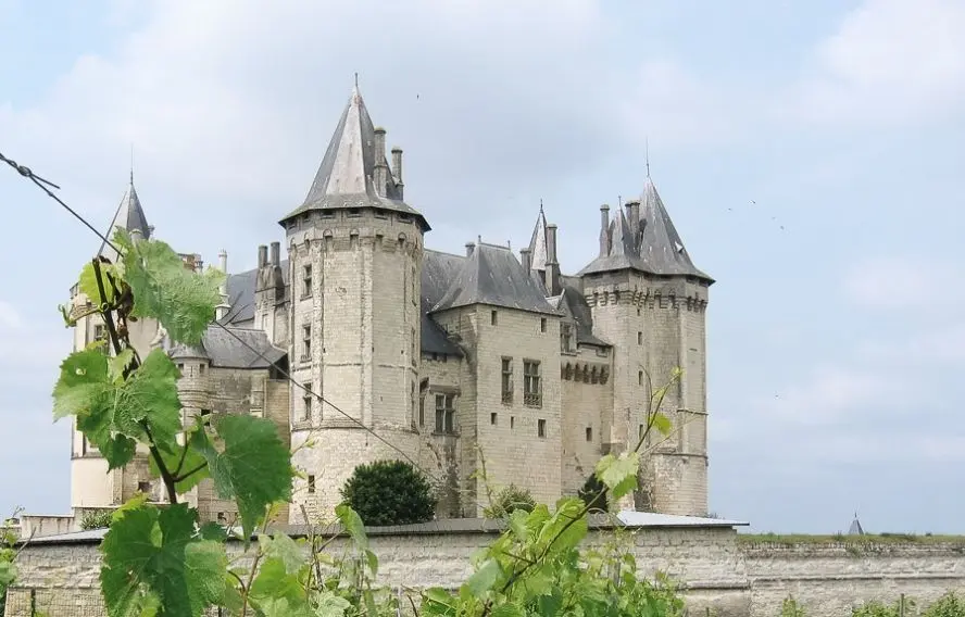 LVT Château de Saumur
