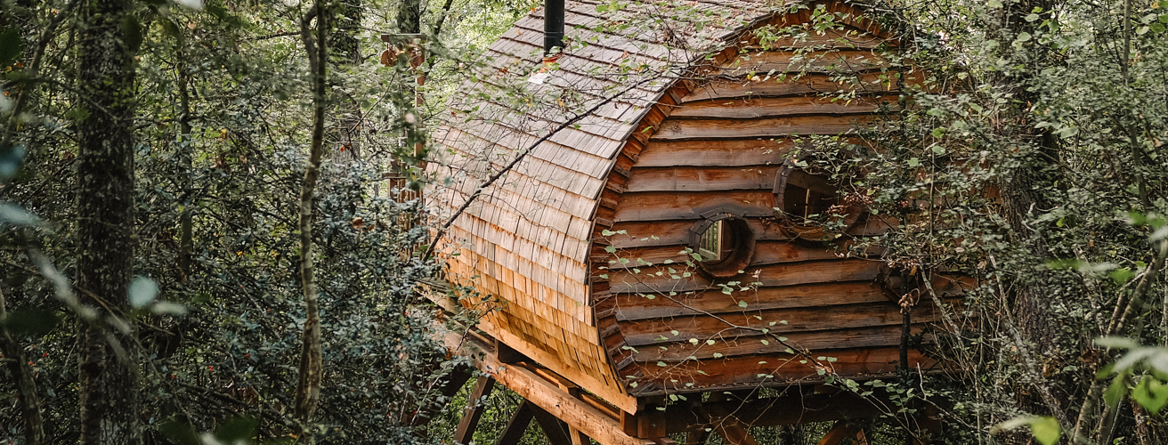 bcourbin insolite-cabane