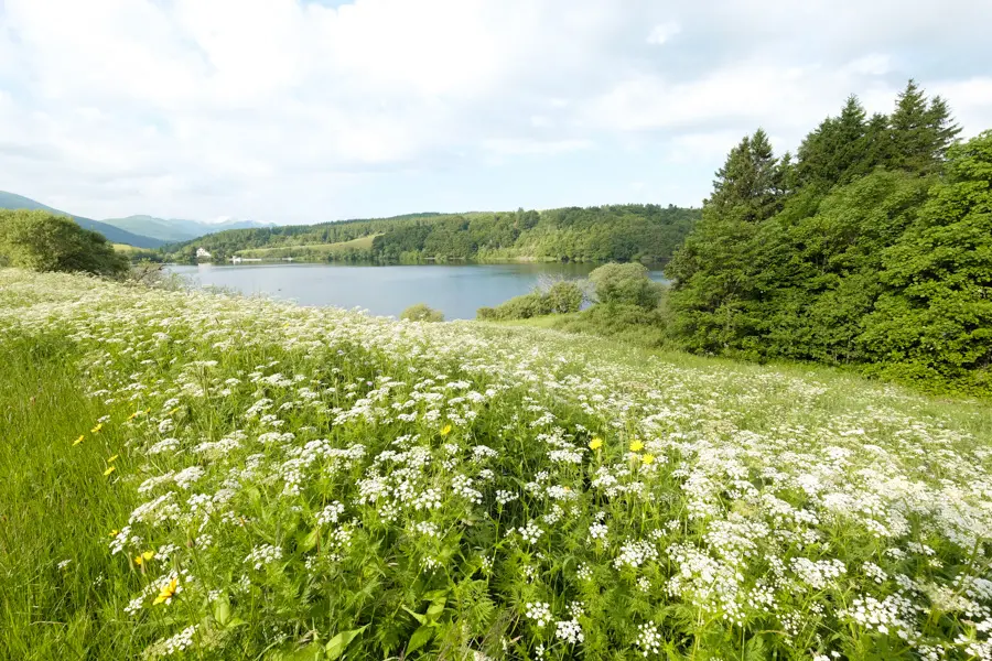 M. Coppin Lac du Guéry