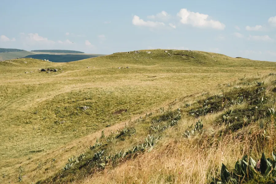 B. Courbin Plateau du Cézallier