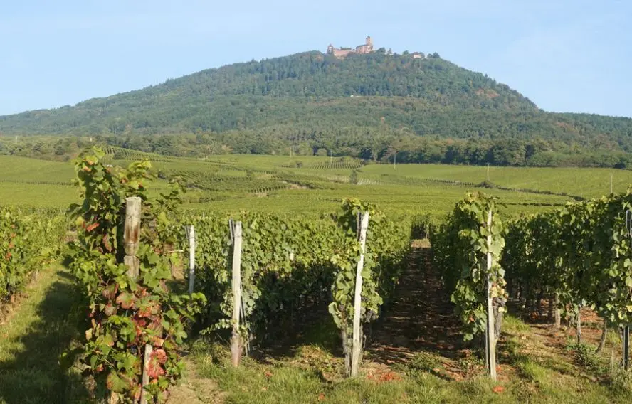 J. Heyte Château de Haut Koenigsbourg