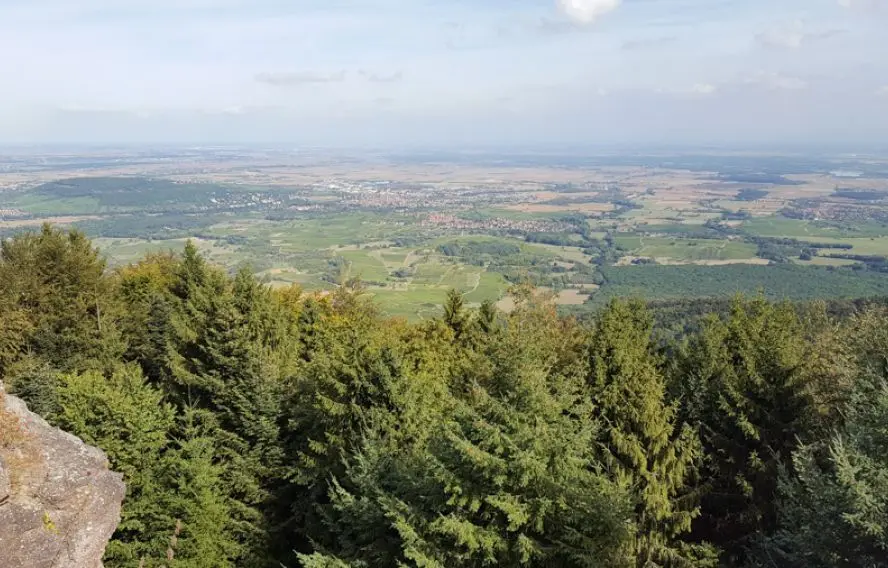 J. Heyte Randonnée au Mont Saint Odile