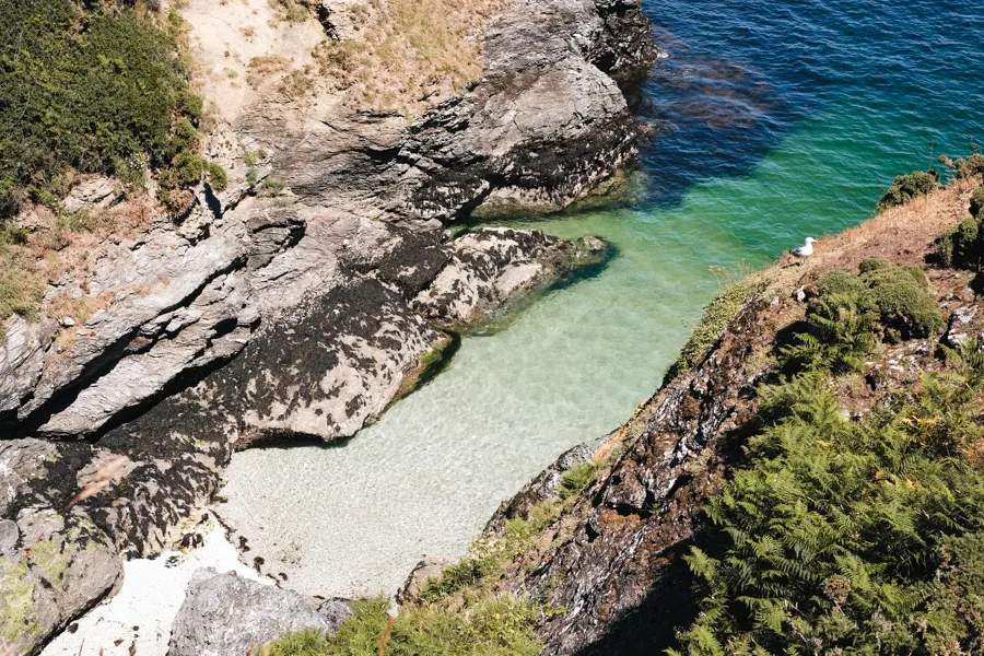 B. Courbin Crique à l'eau turquoise