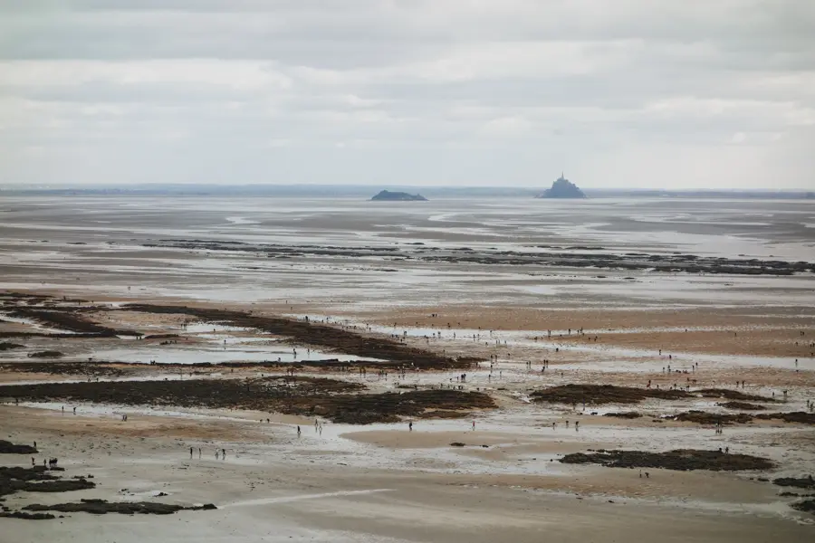 D. Pradon Baie du Mont Saint-