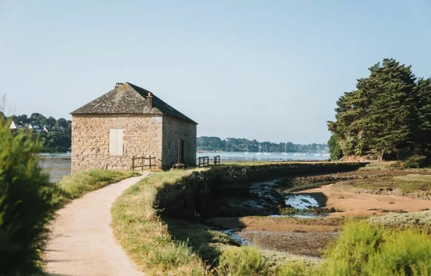 C. Cebarbero Lumière dorée et atmosphère propre au golfe du Morbihan