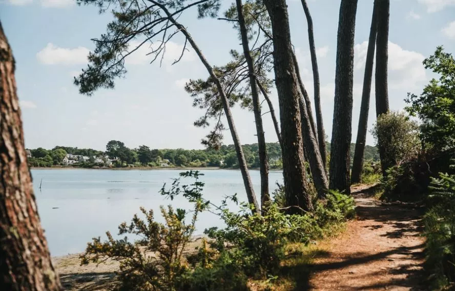 C. Cebarbero Pointe d'Arradon, randonnée douce sans difficulté de terrain