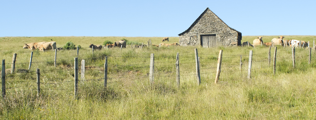 laurie-lograda tour-aubrac-essentiel