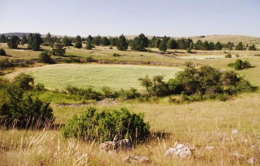P. Saint-Jean Le causse Méjean
