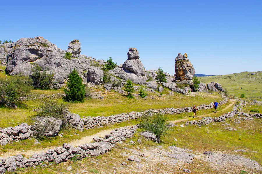 P. Saintjean Causse Méjean