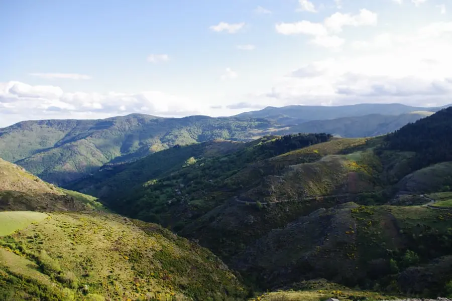 P. Saintjean Paysage des Cévennes