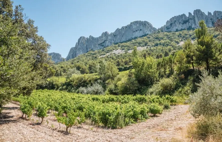 P. Violet Adobestock Dentelles Sarrasines ou de Montmirai, col du Crayon, Vaucluse