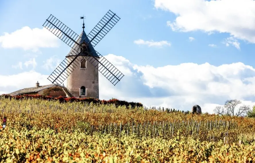 R. Semik Fotolia Moulin à vent de Chenas, Beaujolais