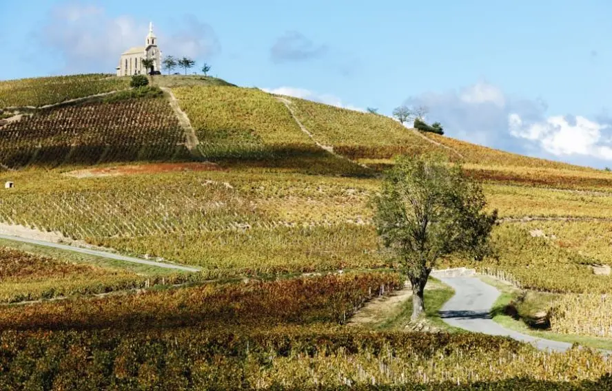 R. Semik Fotolia La Madone de Fleurie, vignoble du Beaujolais