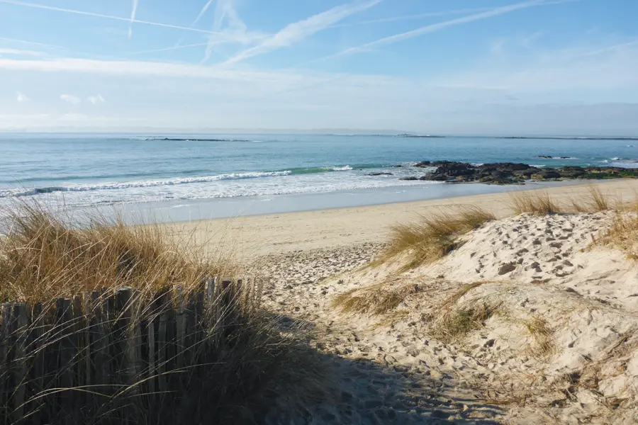 T. Roger Larmor Plage