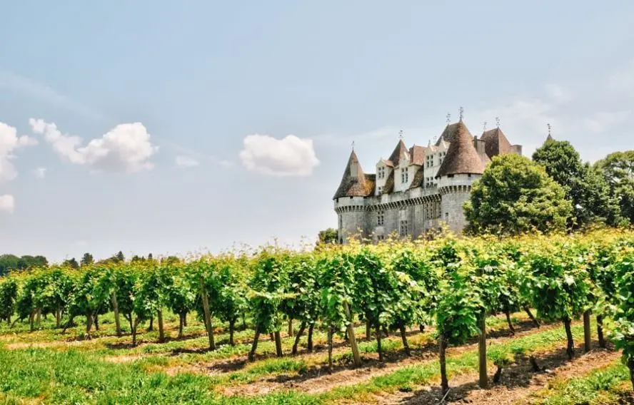 Packshot Château de Monbazillac, Périgord