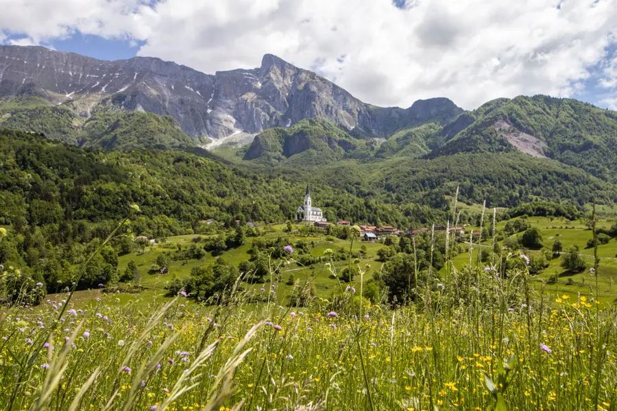 Boris Adobestock Dreznica