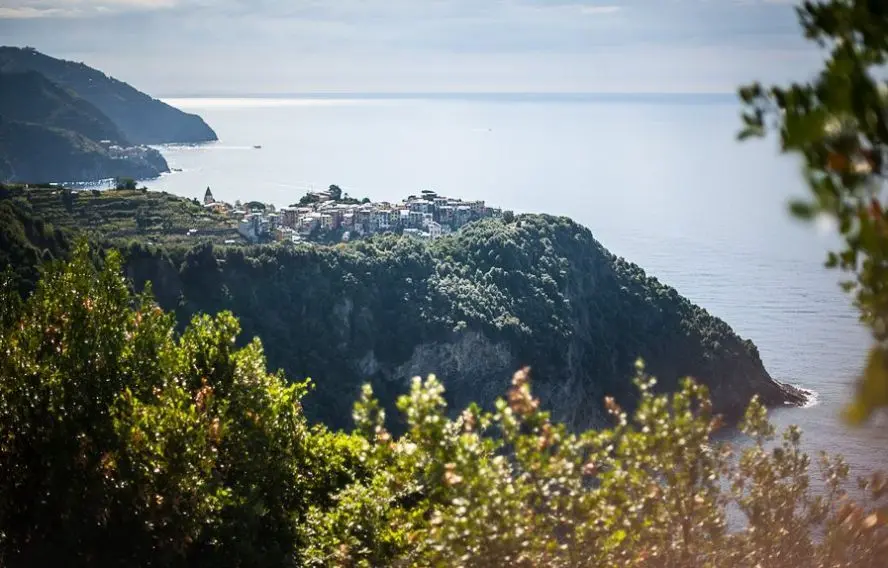 T. Vattard Les Cinque Terre en randonnée