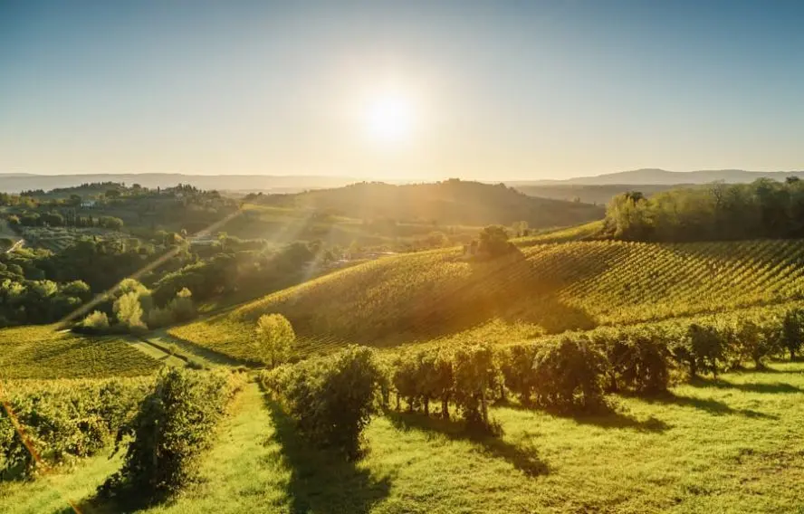 Stevanzz adobestock Ambiance chaleureuse de Toscane, région du Chianti