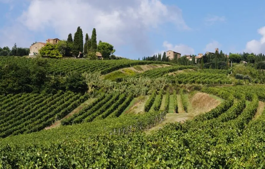 J. Heyte Vignoble et campagne du Chianti