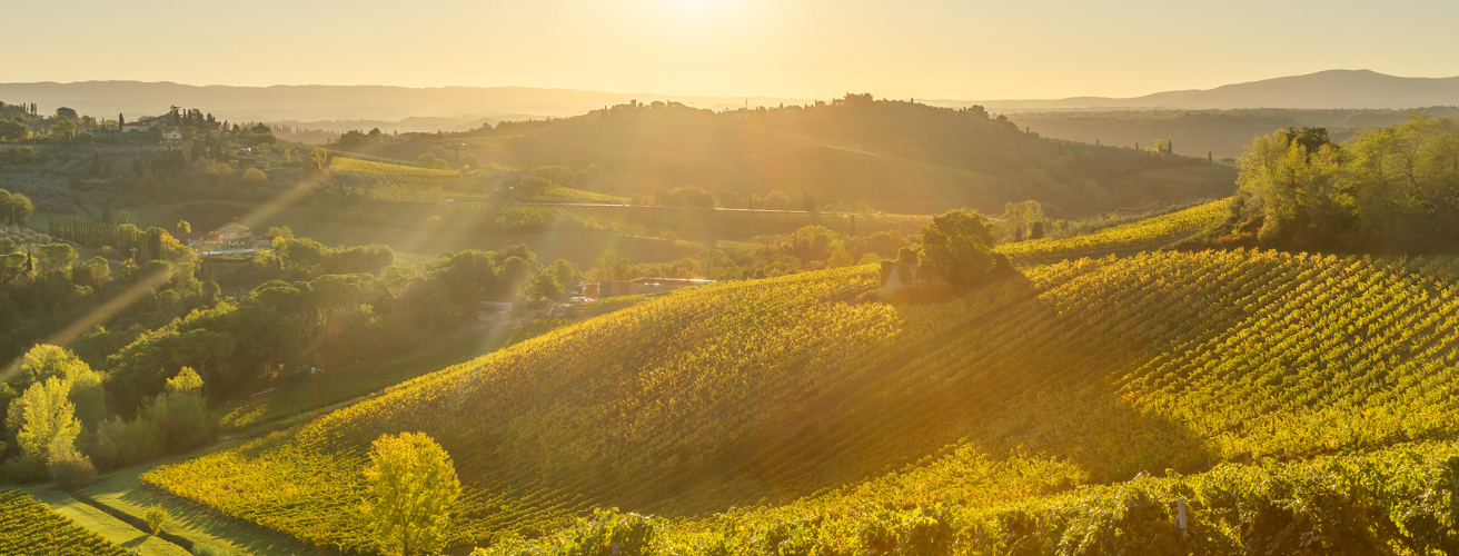 ock-stevanzz-adobestock soleil-de-toscane