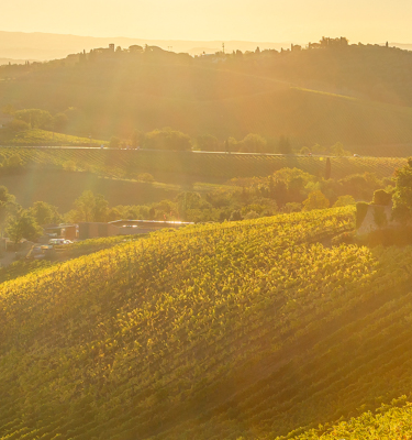 soleil-de-toscane