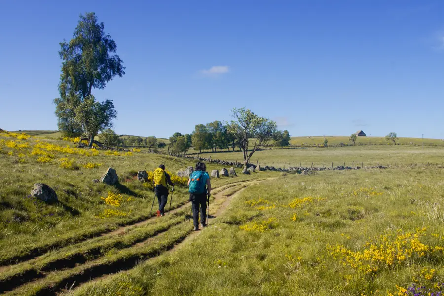 P. Saintjean Randonneur sur le plateau de l'Aubrac