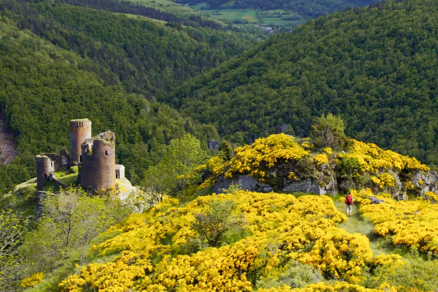 P. Saintjean Le château de Tournel