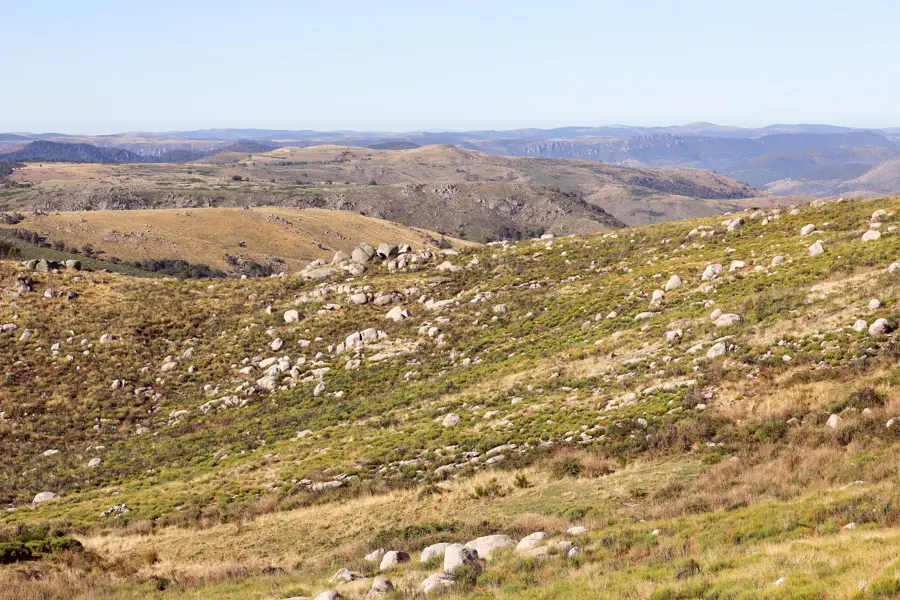 S. Delaunay Paysage des Cévennes