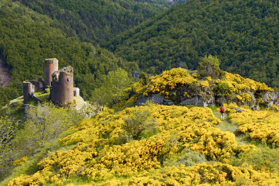 P. Saintjean Château de Tournel