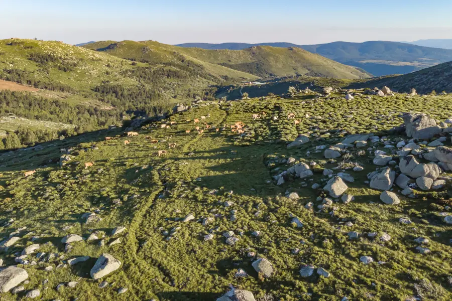 Olivier Tabary Adobestock Randonnée sur les crètes du Mont Lozère