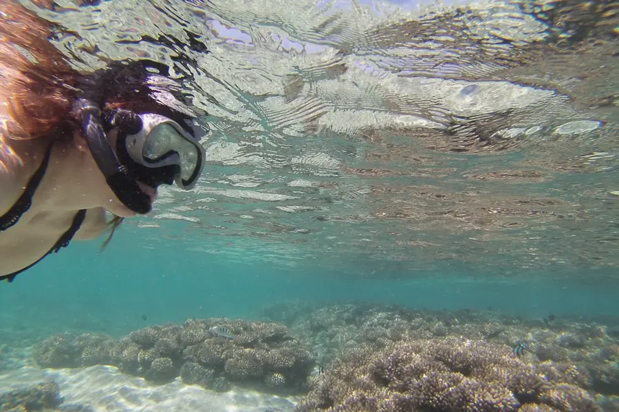 C. Gerbois Snorkeling sur l'île de la Réunion