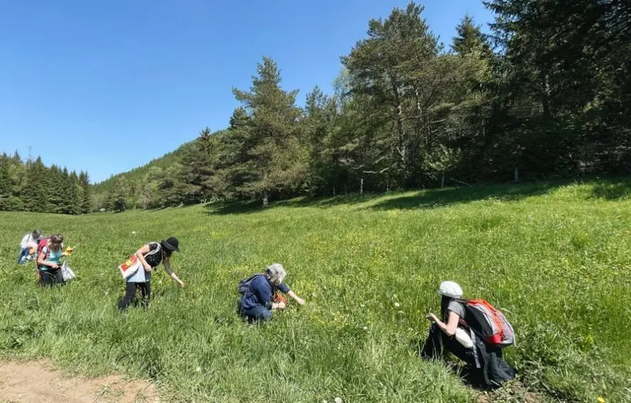 C. Mison Découverte des plantes comestibles et médicinales d'Auvergne