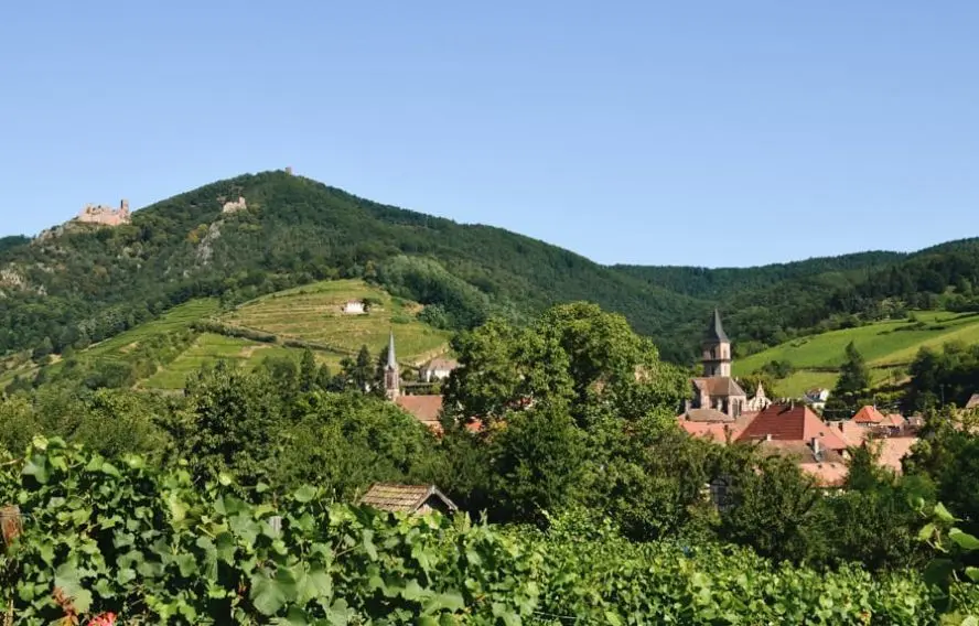 Sudrandos Ribeauvillé Alsace