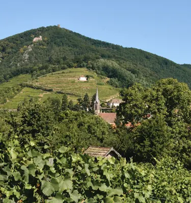 haute-alsce-romane