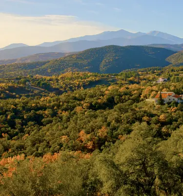 canigou
