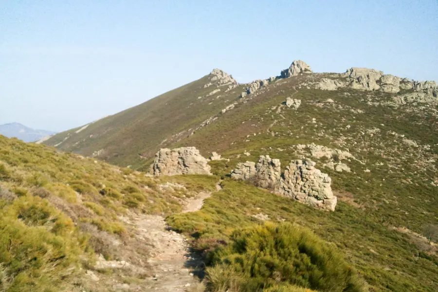 La Canopée Le portail de Rocandouyre