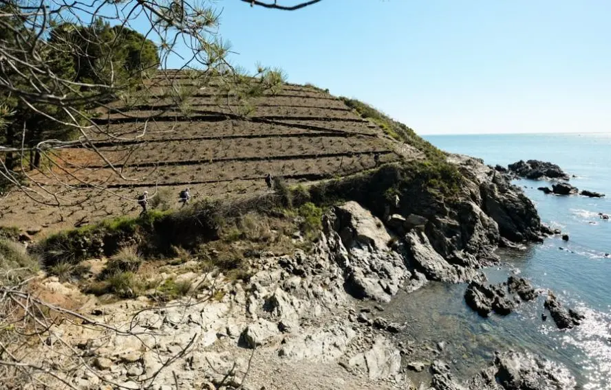 AGaunot Randonnée prés des vignes dans la région de Collioure
