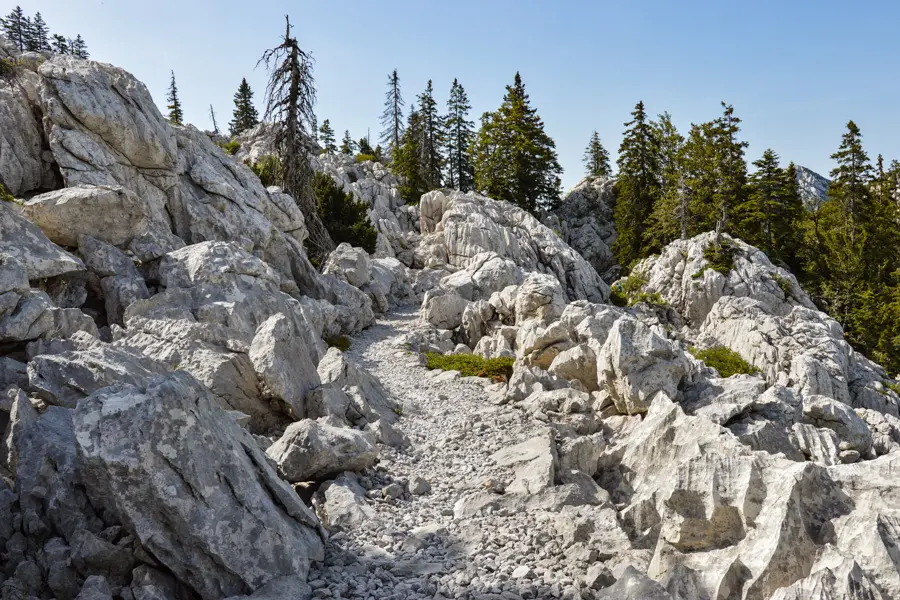 Ivica Adobestock Sentier de Premuzic