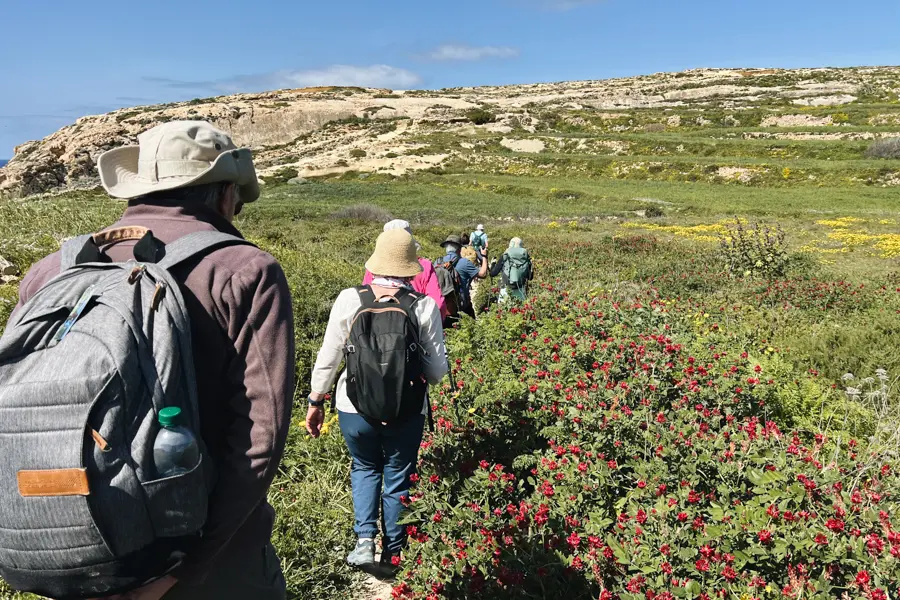 L. Riou Randonnée sur l'île de Gozo